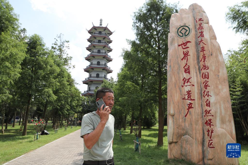 网络平台俄罗斯娱乐