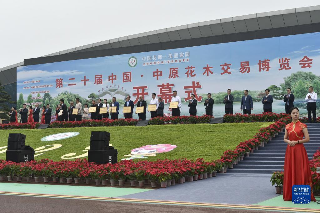 新宝3测速登录